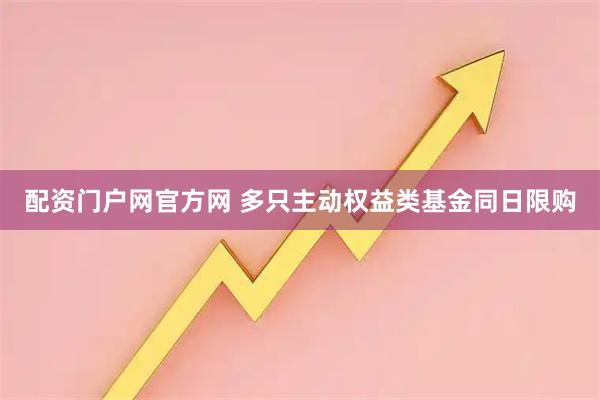 配资门户网官方网 多只主动权益类基金同日限购