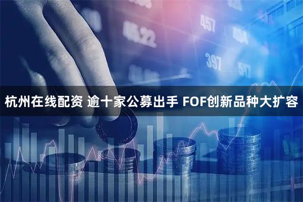 杭州在线配资 逾十家公募出手 FOF创新品种大扩容